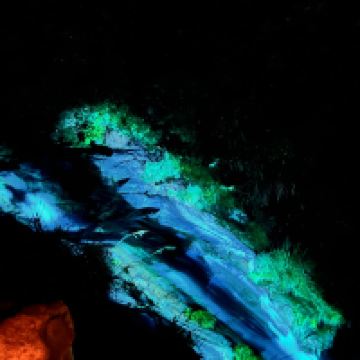 評論圖片 6