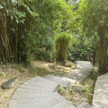 評論圖片 6