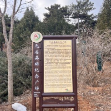 評論圖片 2