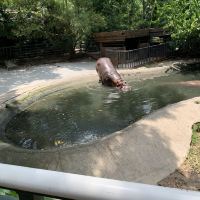 評論圖片 3