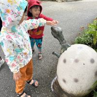 評論圖片 2