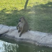 評論圖片 3