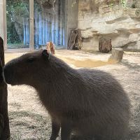 評論圖片 2