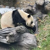 評論圖片 4