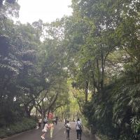 評論圖片 4