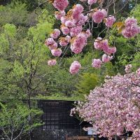 評論圖片 6