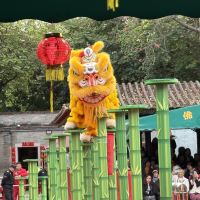 評論圖片 5