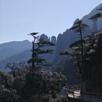 評論圖片 6