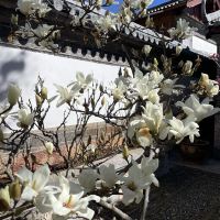 評論圖片 2