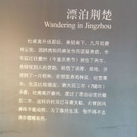 評論圖片 7
