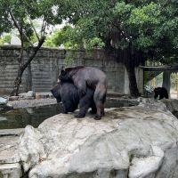 評論圖片 8
