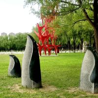 評論圖片 7