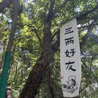 評論圖片 2