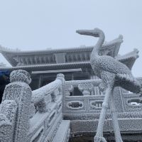評論圖片 6