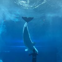 評論圖片 2