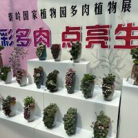 評論圖片 6