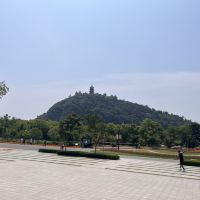 評論圖片 2