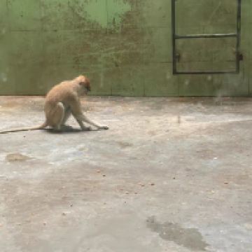 評論圖片 3