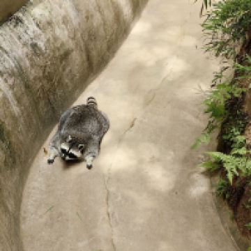 評論圖片 3