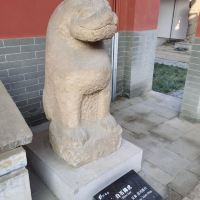 評論圖片 5