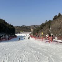 評論圖片 2