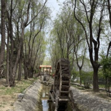 評論圖片 1