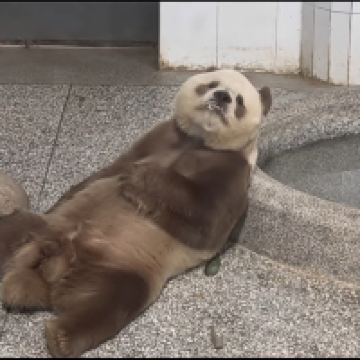 評論圖片 1