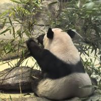 評論圖片 7