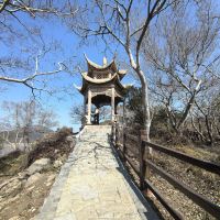 評論圖片 3