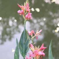 評論圖片 1