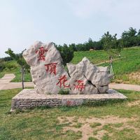 評論圖片 4