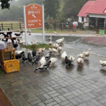 評論圖片 7