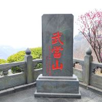 評論圖片 1