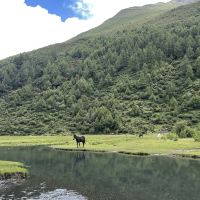 評論圖片 1