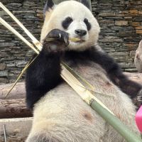 評論圖片 5