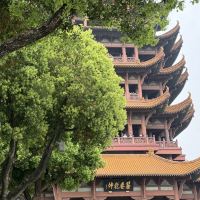 評論圖片 5
