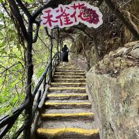 評論圖片 2