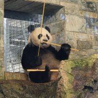 評論圖片 9