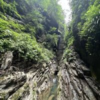 評論圖片 9