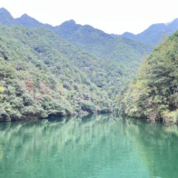 評論圖片 6