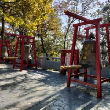評論圖片 9