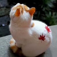 評論圖片 3