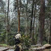 評論圖片 1