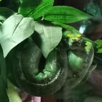 評論圖片 4