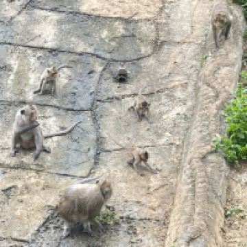 評論圖片 4