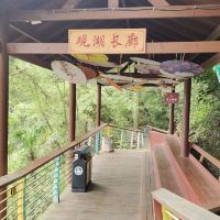 評論圖片 4