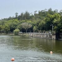評論圖片 7