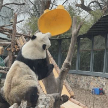 評論圖片 5