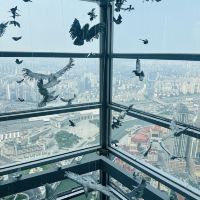 評論圖片 1