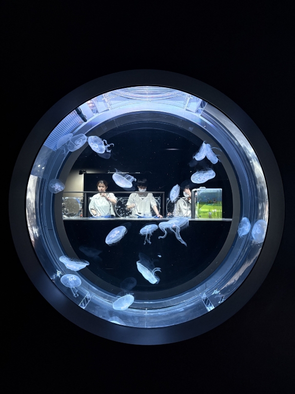 AOAO SAPPORO Tickets [2026] - Promos, Prices, Reviews & Opening